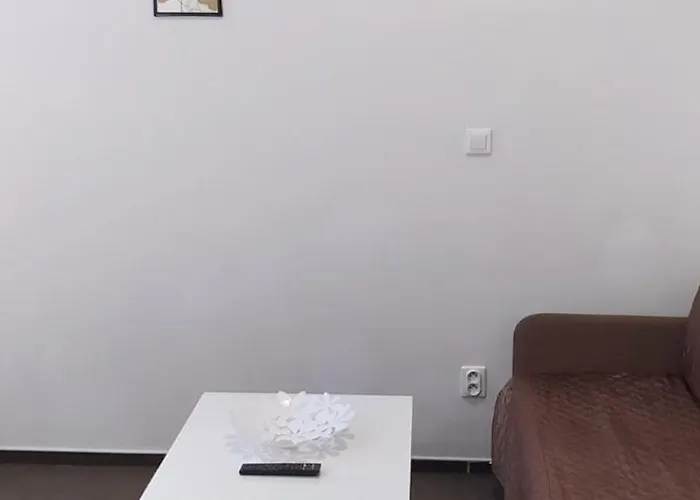 Horsky Primo U Sjezdovky Kouty Nad Desnou 公寓 *